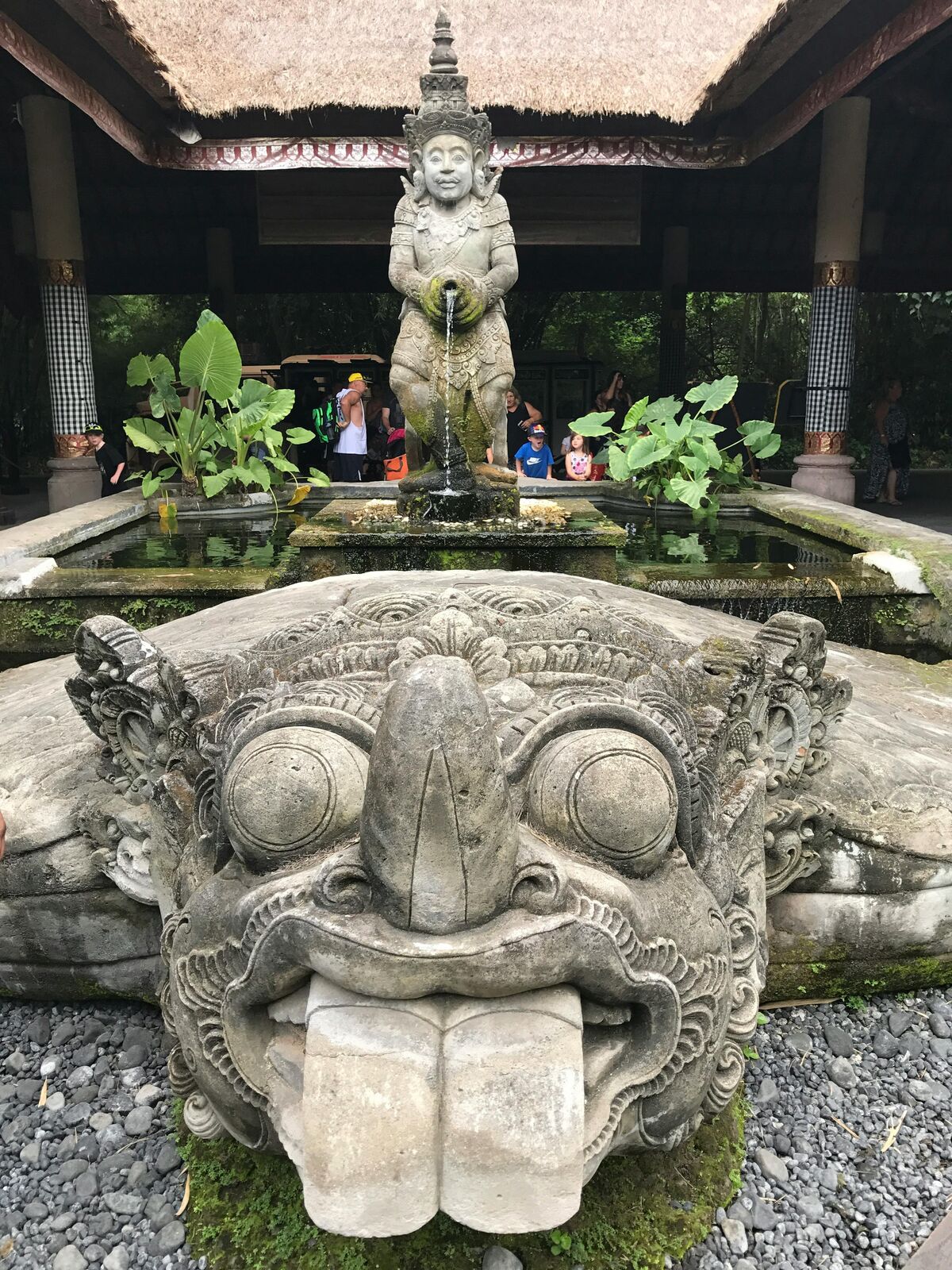 Bali Budget Backpacker view 5