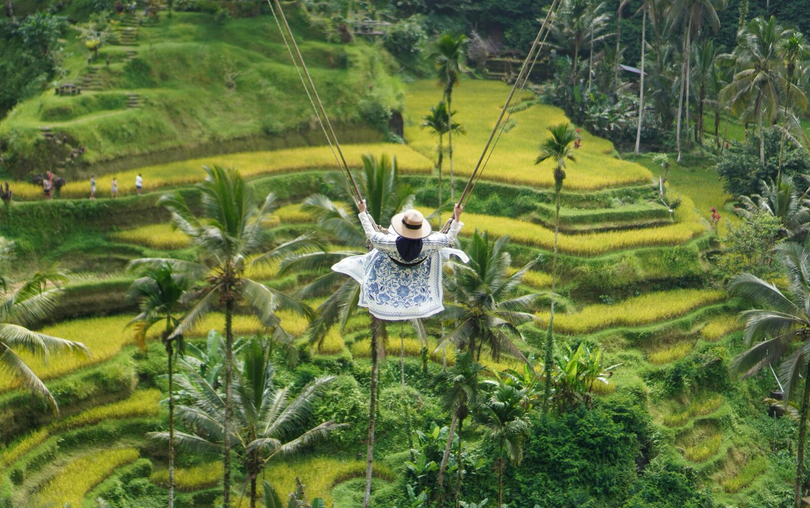 Bali Adventure & Rafting view 6